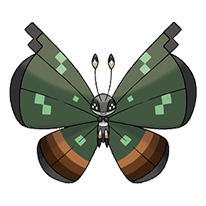 #666 Vivillon Jungle Pattern